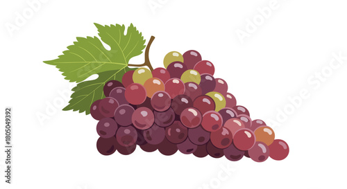 A delicious bunch of ripe red and green grapes with a vibrant green leaf on a white background.