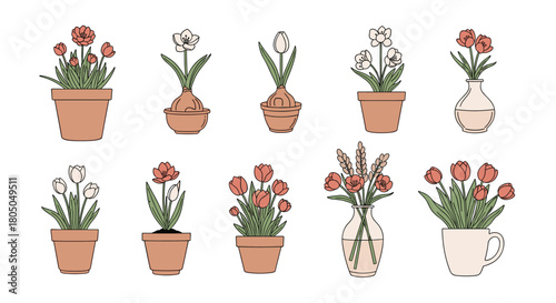 A delightful collection of potted flowers and floral arrangements in ceramic vases.