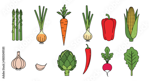 Collection of fresh and colorful organic vegetables for healthy eating and cooking.