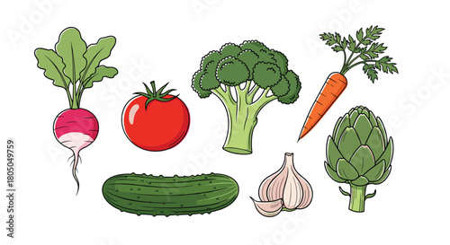 A vibrant assortment of fresh vegetables including a radish tomato broccoli carrot cucumber garlic and artichoke.