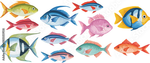 Assortment of Colorful Tropical and Freshwater Fish