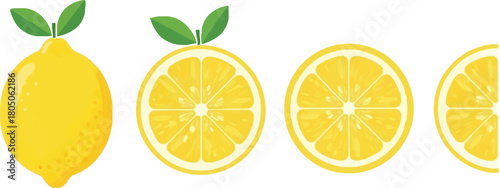Fresh Lemon Slices Vector Illustration for Healthy Living and Nutrition