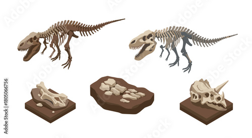 Dinosaur skeleton collection with fossil elements in isometric style