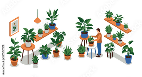 Isometric indoor garden with diverse houseplants and person gardening