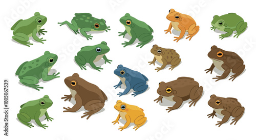 Colorful collection of frogs and toads in flat style on white background