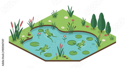Isometric pond scene with frogs and lilies in a lush garden setting