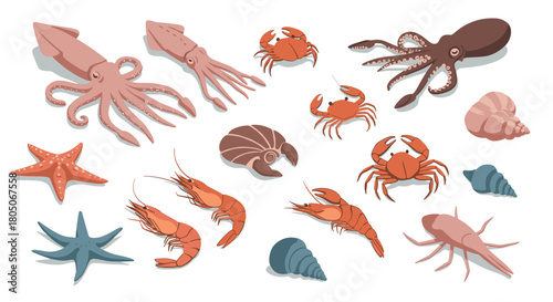 Marine life collection: flat style sea creatures and shells for nautical designs