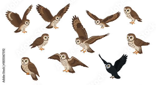 Diverse owl set in flight and perched with flat design