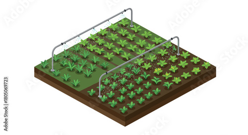 Isometric garden irrigation system with fresh vegetables