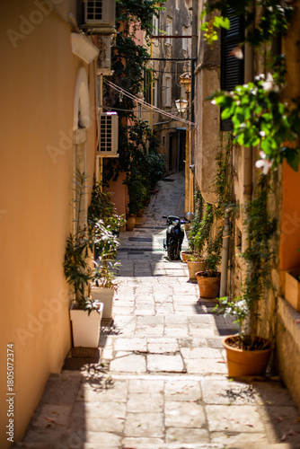 Fototapeta Naklejka Na Ścianę i Meble -  street in the old town of Greece