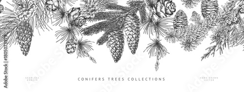 Black and white banner with a seamless top border of various pine branches and cones.