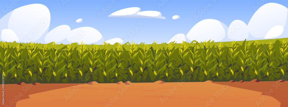 Naklejka premium Corn field vector illustration, cartoon corn grows in field. Rural summer field landscape, vegetable garden cultivation