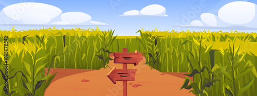 Corn field with wooden road pointers and high green maize plant stems, vector cartoon choice of way, labyrinth, maze