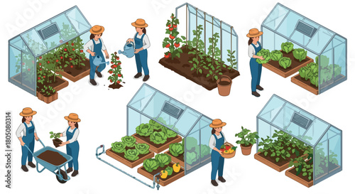 Greenhouse gardening with people tending plants
