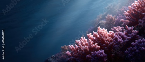 Fototapeta Naklejka Na Ścianę i Meble -  74. coral reef underwater with balanced colors, calm atmosphere, natural window light, balanced rule of thirds, generic props only