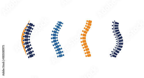 Illustration of human spinal columns in varying colors and arrangements