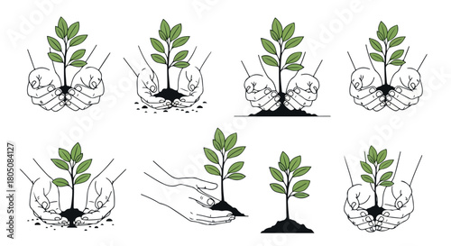 Hands holding plant seedlings for growth and care