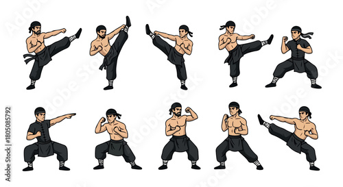 Martial arts poses set for website or print