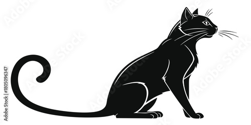black cat vector