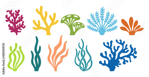 Colorful stylized illustrations of various underwater plants, corals, and seaweeds.