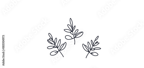 Hand-drawn leaves illustration in minimalist line art style  