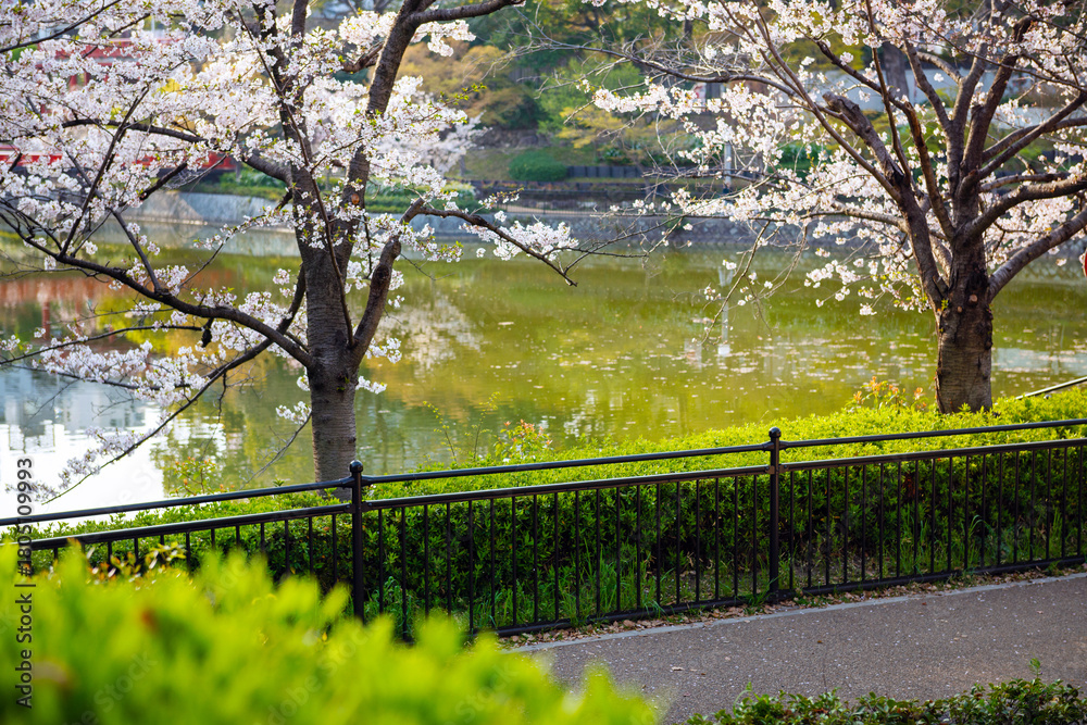Naklejka premium 春の天王寺公園