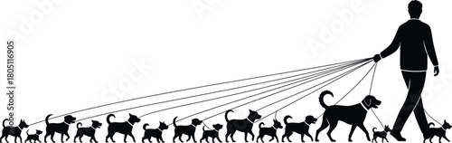 Silhouette of professional dog walker holding many leashes, man walking large pack of dogs, pet care service vector illustration