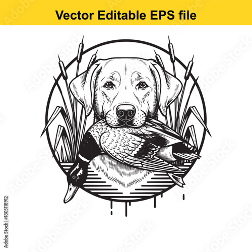 Black and white illustration of a labrador retriever dog holding a duck in its mouth, surrounded by reeds, vector art