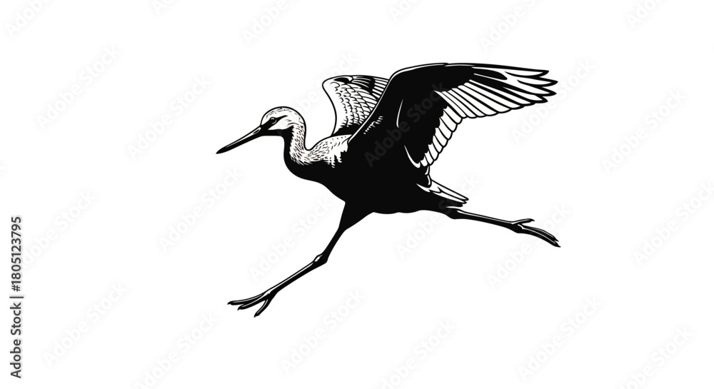Obraz premium Illustration of a crane in flight, wings spread, legs extended, in black and white.