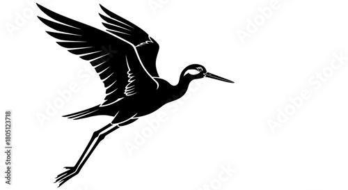 Elegant black silhouette of a long-legged bird with outstretched wings in graceful flight against a white background.