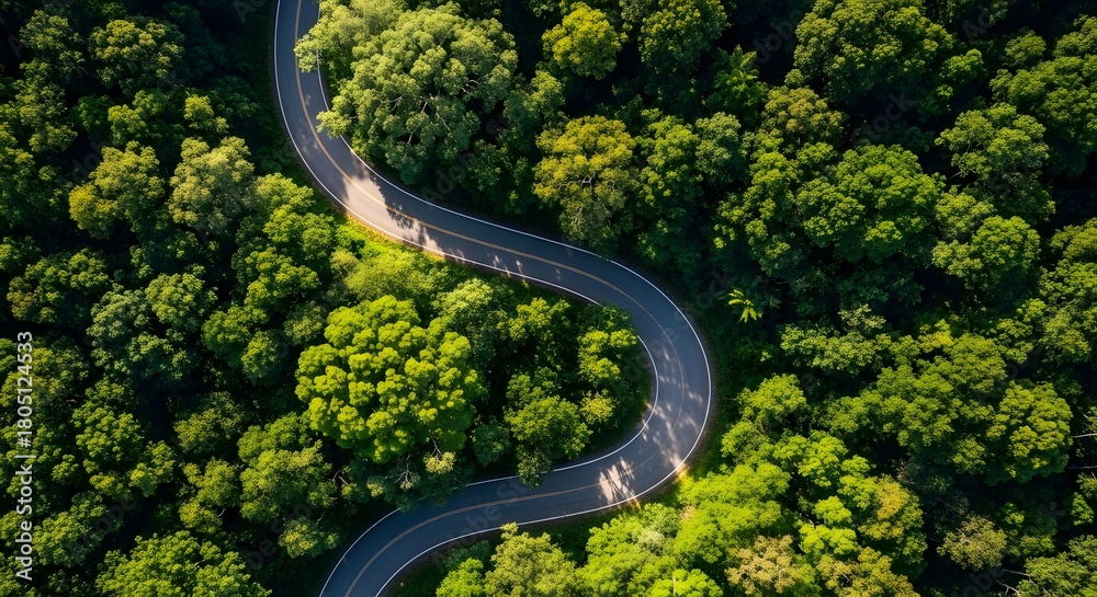Fototapeta premium Aerial view of a winding road through a dense lush green forest canopy