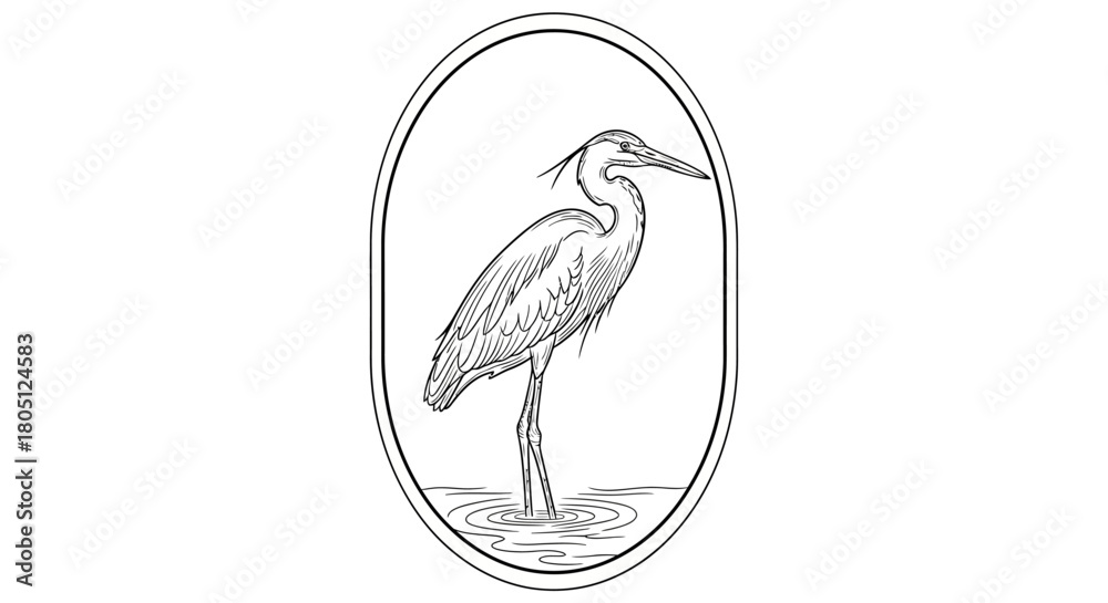 Naklejka premium A detailed black and white illustration of a heron standing in shallow water within an oval frame.