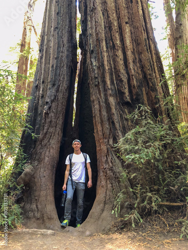 Blonde Male in a Tree