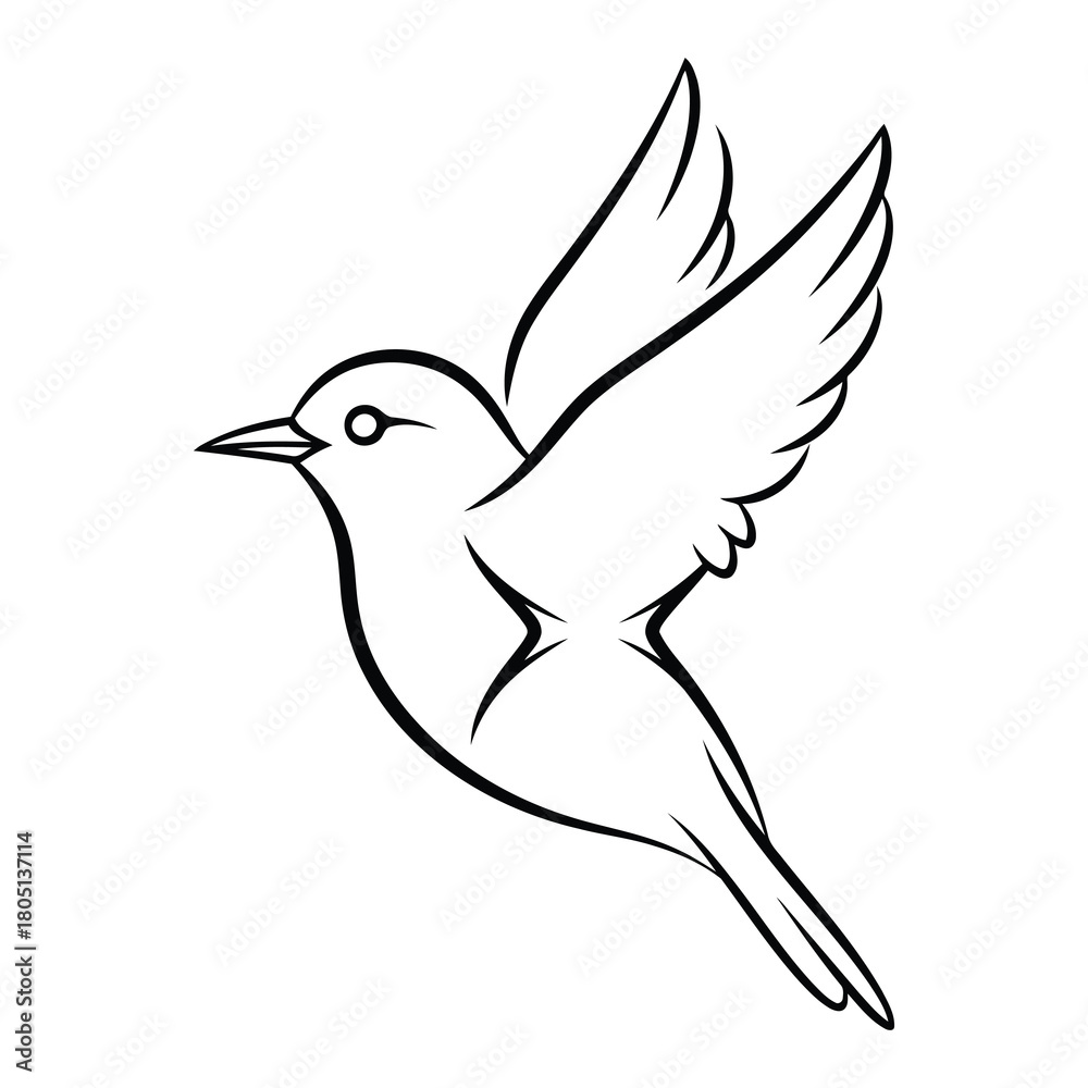 Obraz premium Bird in flight isolated on, a symbol of freedom and hope