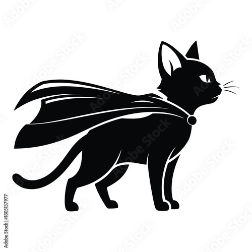 Illustration of a black cat superhero with cape isolated on