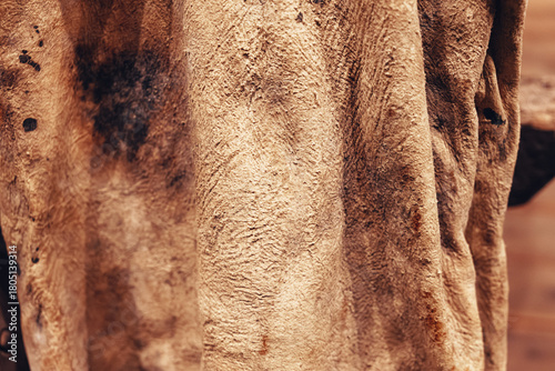 Close-up of traditional wineskin made from goat leather, showing natural rough texture and handcrafted surface used in ancient winemaking traditions