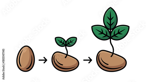 A seed progresses through three stages of growth, showing its development from a dormant state to a small plant with leaves.