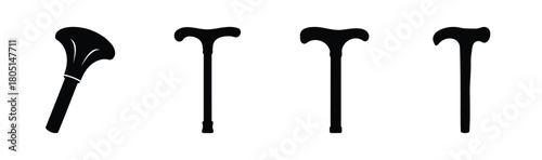 Set of walking sticks and canes for mobility and support