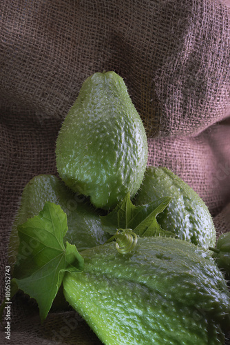 Chayote - Sechium Edule - Zucchina spinosa - Zucca centenaria