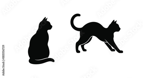 Two black cat silhouettes displayed in a minimalist simple graphic design