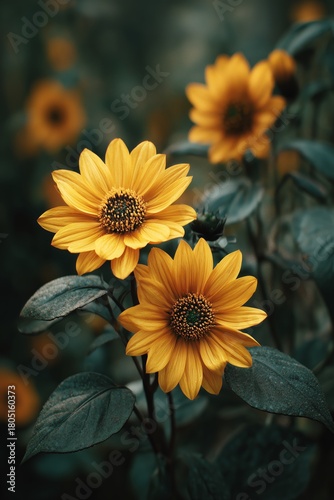 Bright Sunflowers in a Lush Arrangement Against a Soft Green Backdrop During ...