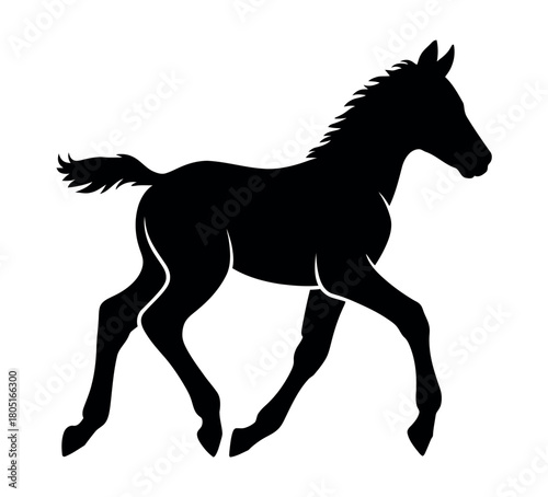 A young foal silhouette runs dynamically across a white background.