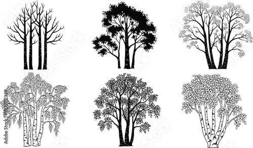 Deciduous Tree Silhouette Vector Set Isolated on White Representing Bare Winter Branches, Full Foliage, and Multi-Trunk Clumps like Birch