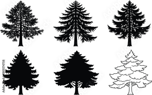 Stylized conifer tree silhouettes, evergreen tree shapes, artistic tree forms, black tree icons, tree illustration, forest symbols, tree diversity, pine tree sketch, tree outline, abstrac