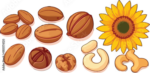 Sunflower seeds and mixed nuts isolated as a sweet snack collection illustration
