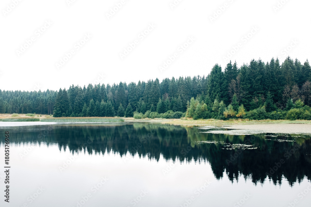 Fototapeta premium Scenic Lake in a National Park Surrounded by Nature