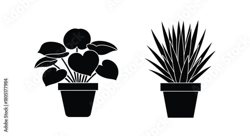 Simple black and white illustration of two potted indoor plants