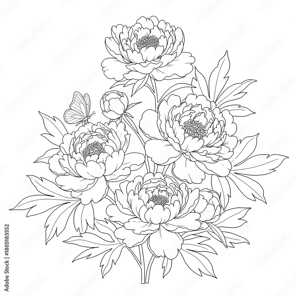 Fototapeta premium A detailed black and white illustration of peonies and leaves with a butterfly, showcasing intricate floral beauty from a close-up viewpoint.