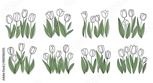 Tulip flowers set with transparent background