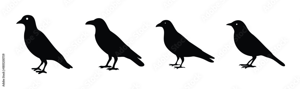 Fototapeta premium Four black bird silhouettes standing as simple avian icons